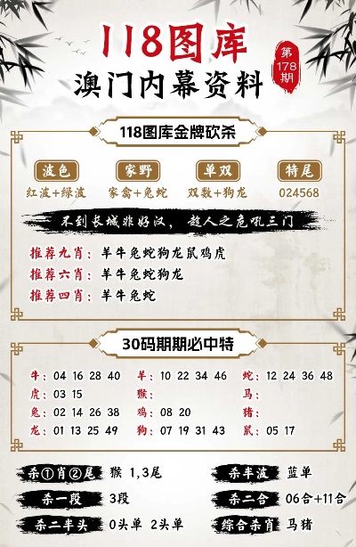 澳门管家婆100%精准资料图片大全，精选解析与警惕虚假宣传-全面释义、解释与落实